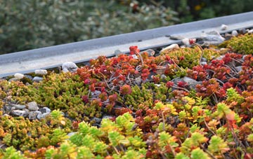 the cost of Station Town green roof installation