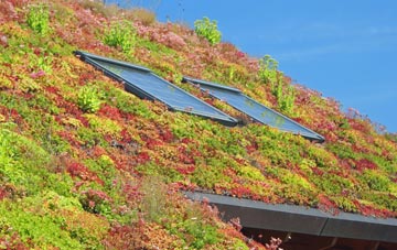 Station Town living roof systems
